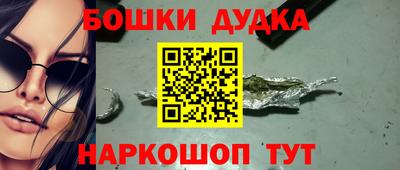 МДПВ Дубна