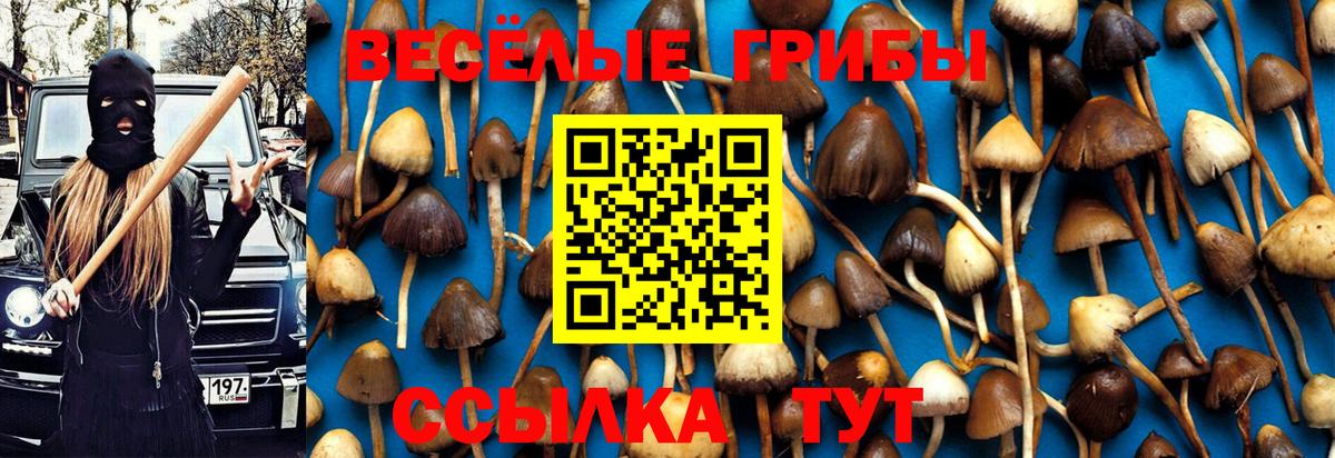 Псилоцибиновые грибы мухоморы Нижний Новгород